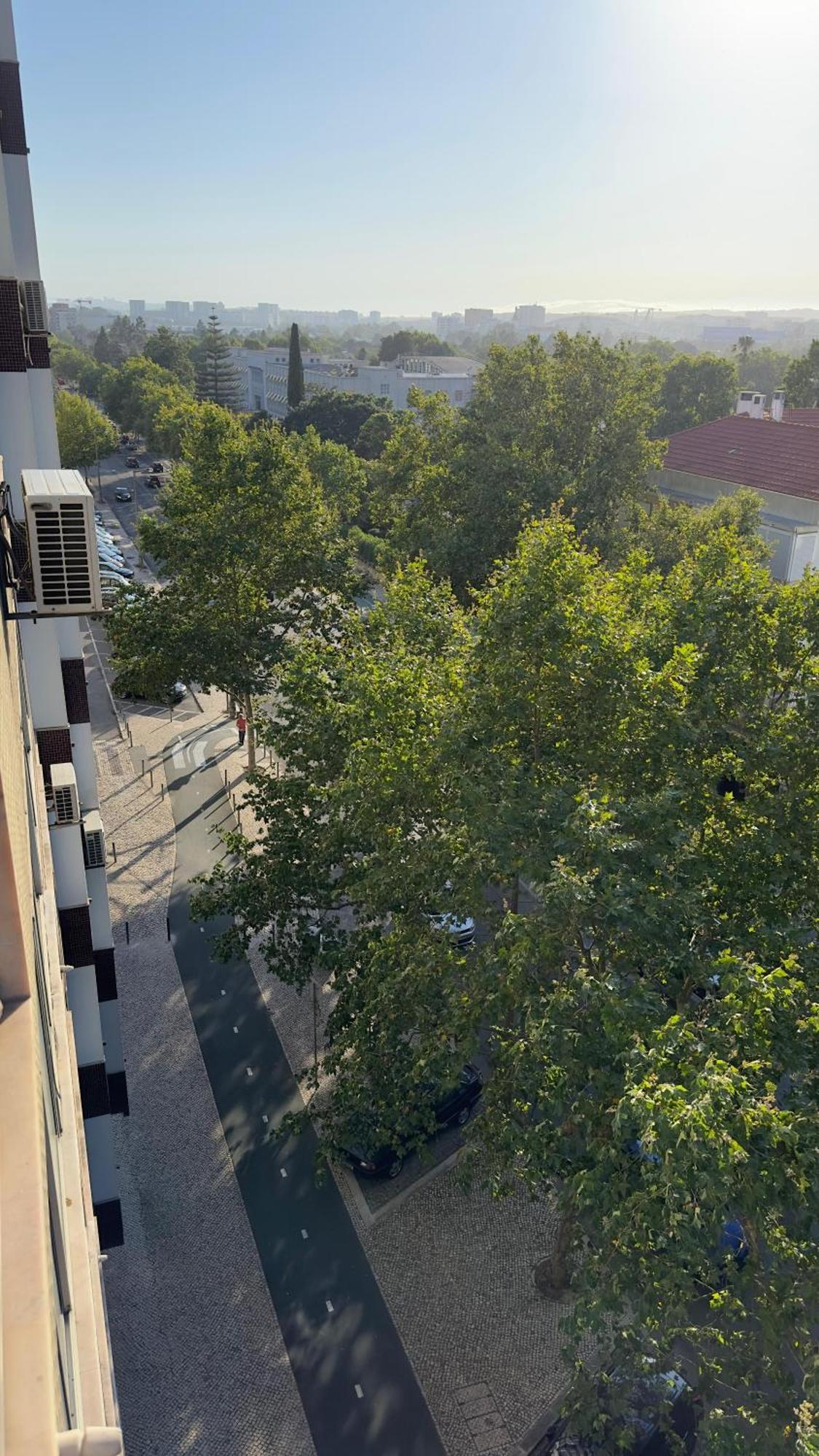 Room Alvalade Lisboa Ngoại thất bức ảnh